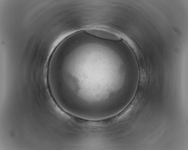 X0000113221102200909101145