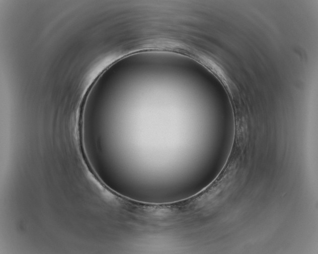 X0000113221103200909101145