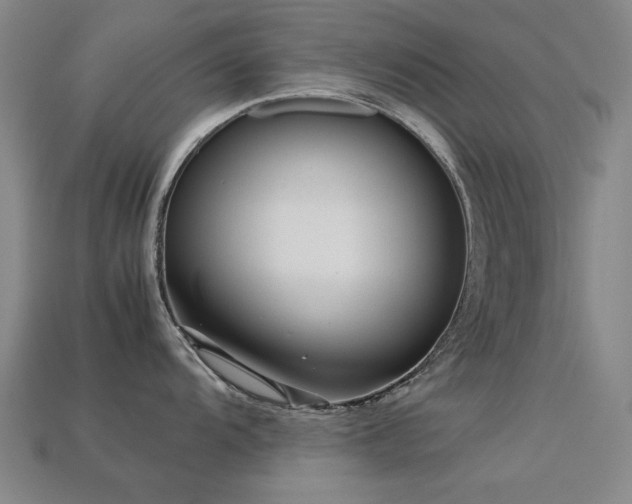 X0000113221104200909101145