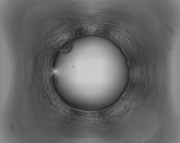 X0000113221105200909101144