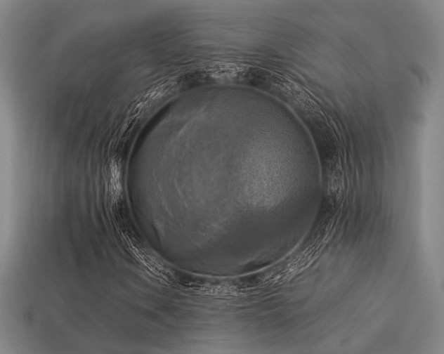 X0000113221106200909101144