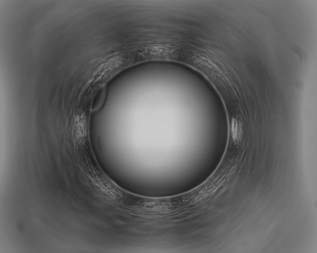 X0000113221107200909101144