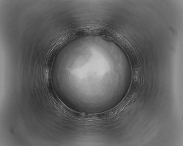 X0000113221108200909101144