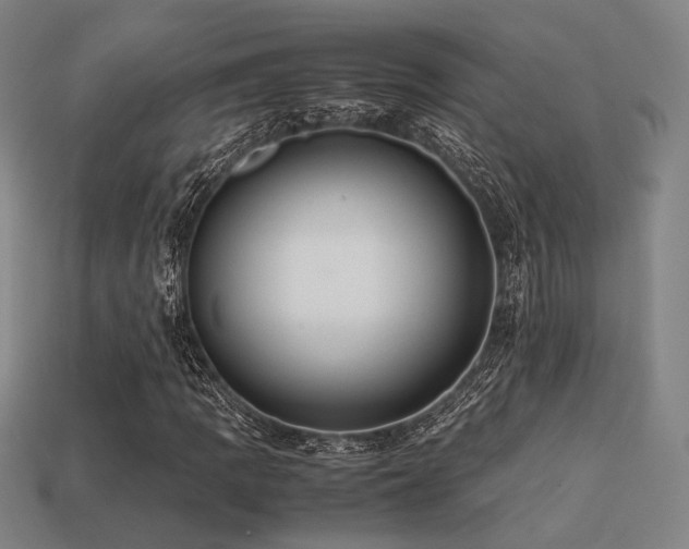 X0000113221109200909101144