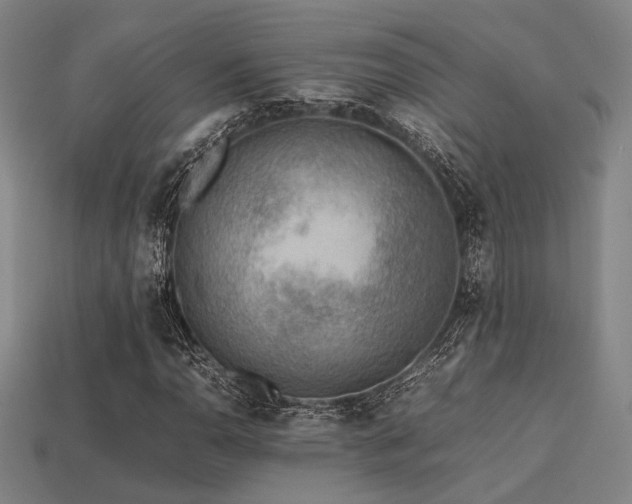X0000113221110200909101144