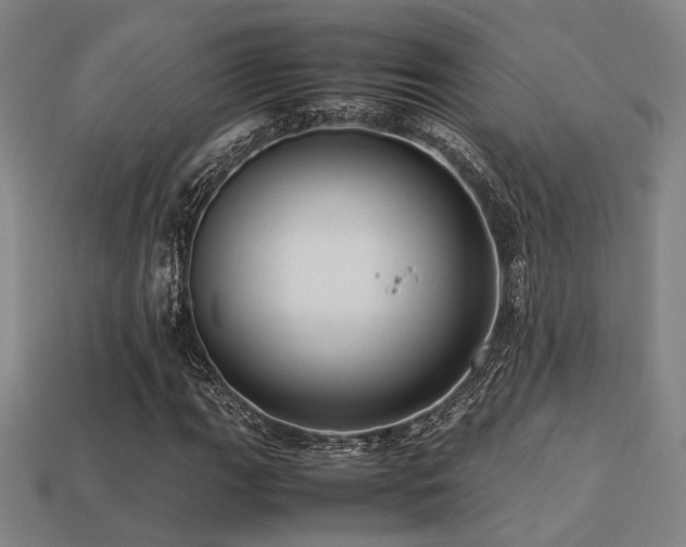 X0000113221111200909101144