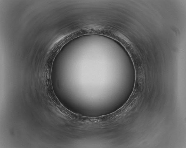 X0000113221112200909101144