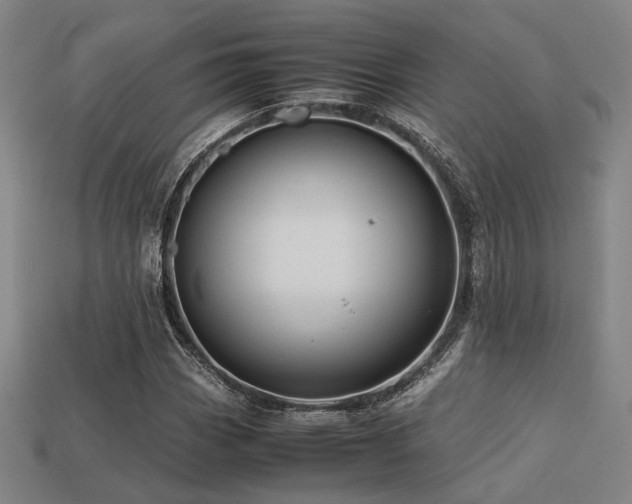 X0000113221113200909101144