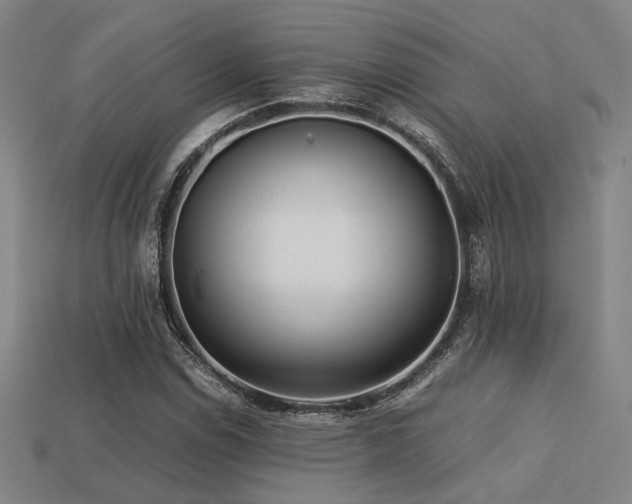 X0000113221114200909101144
