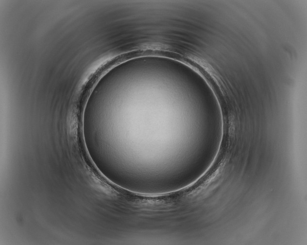 X0000113221115200909101144