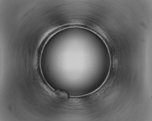 X0000113221116200909101144