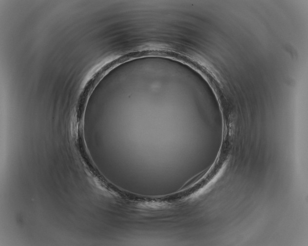 X0000113221117200909101144