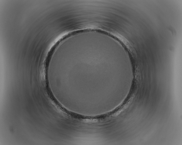 X0000113221118200909101144