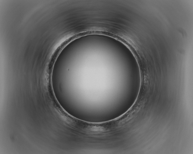 X0000113221119200909101144