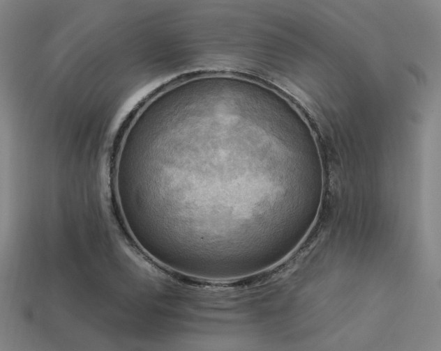 X0000113221120200909101144
