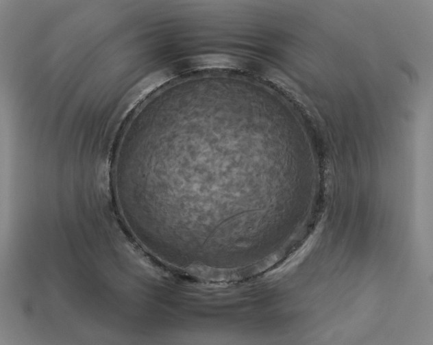 X0000113221121200909101144