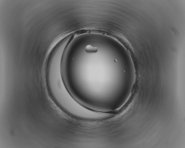 X0000113221122200909101144