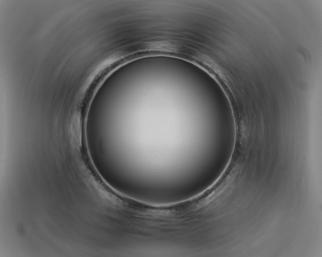 X0000113221123200909101144