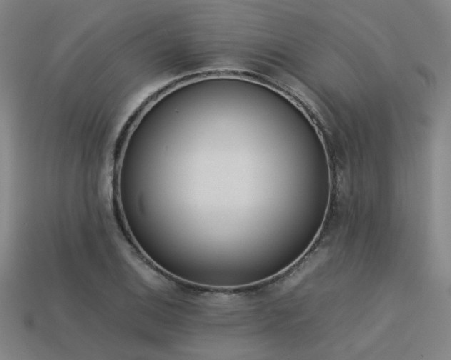 X0000113221124200909101144