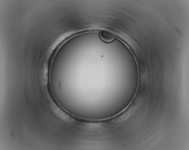X0000113221126200909101144