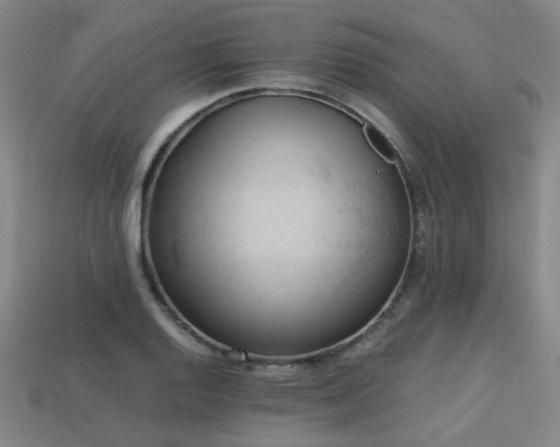 X0000113221128200909101144