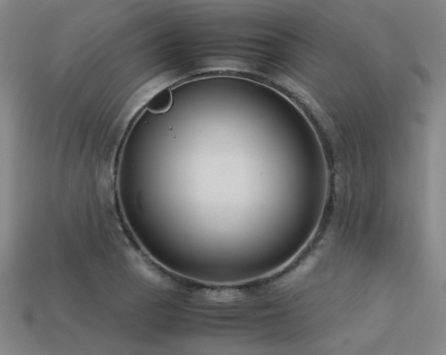 X0000113221129200909101144