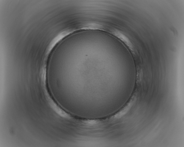 X0000113221130200909101144