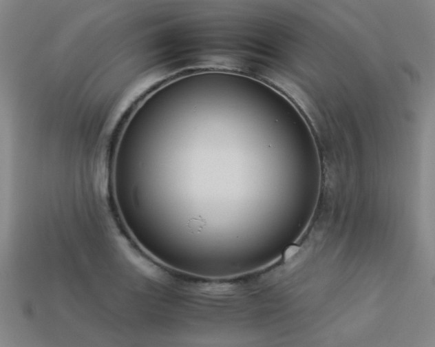 X0000113221131200909101144