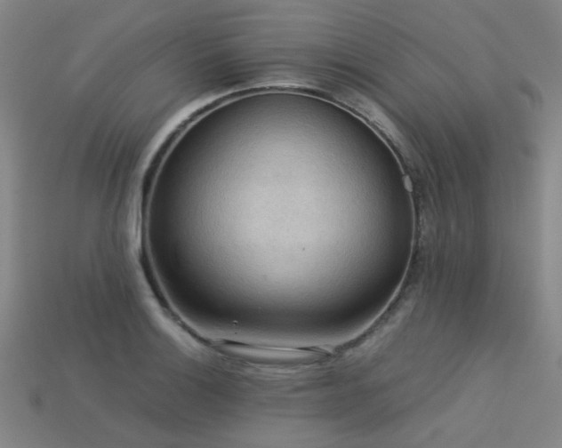 X0000113221132200909101144