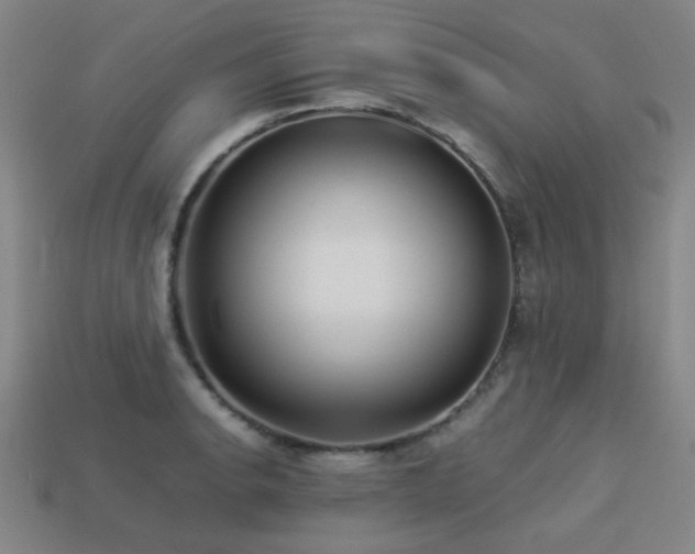 X0000113221134200909101144