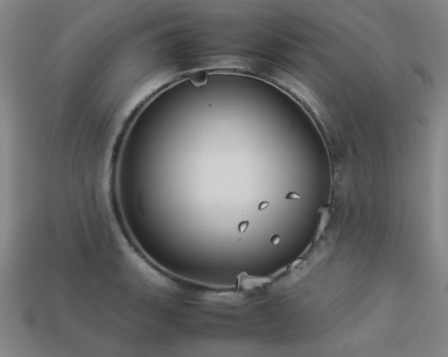 X0000113221135200909101145