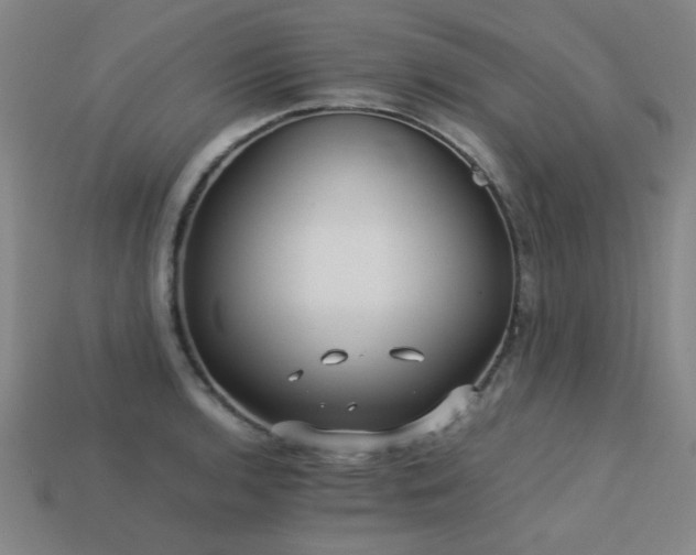 X0000113221136200909101145