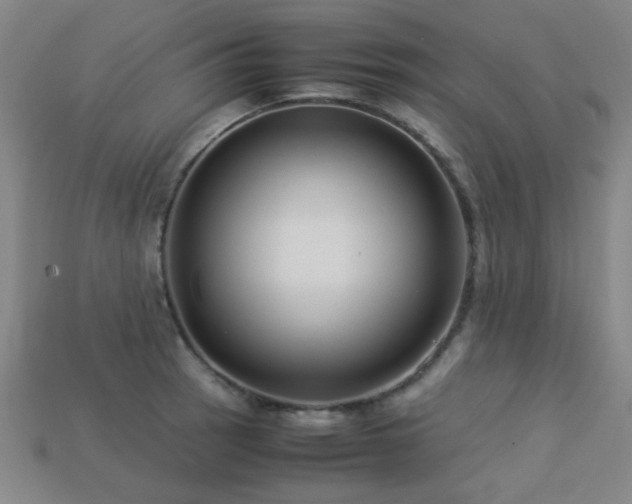 X0000113221137200909101145