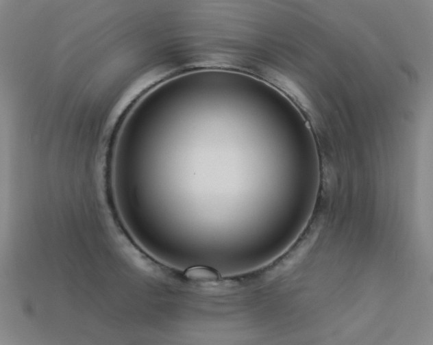 X0000113221138200909101145