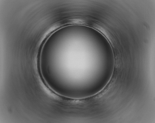 X0000113221139200909101145