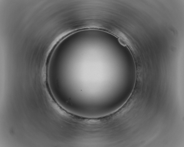 X0000113221140200909101145