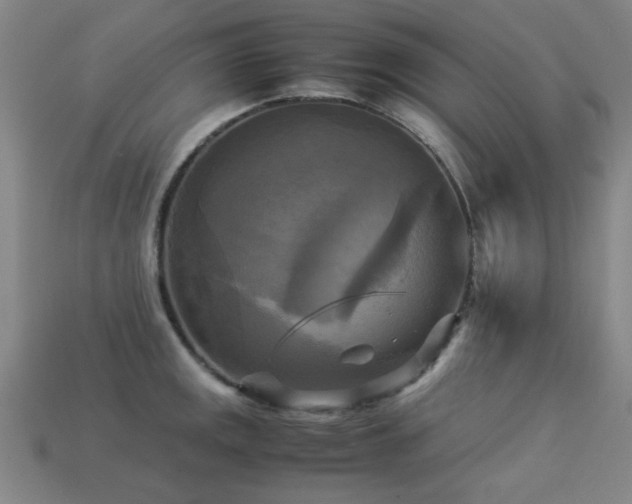 X0000113221141200909101145