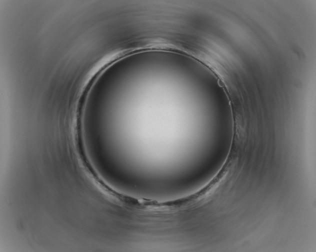 X0000113221142200909101145