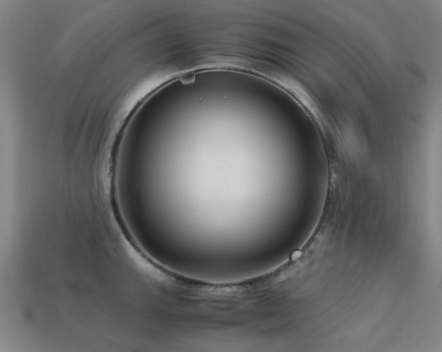 X0000113221143200909101145