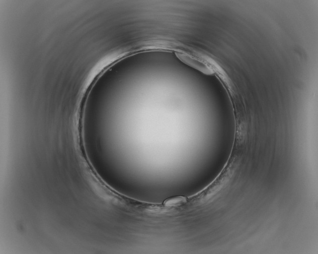 X0000113221146200909101145