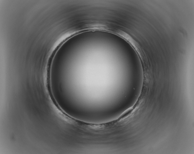 X0000113221147200909101145