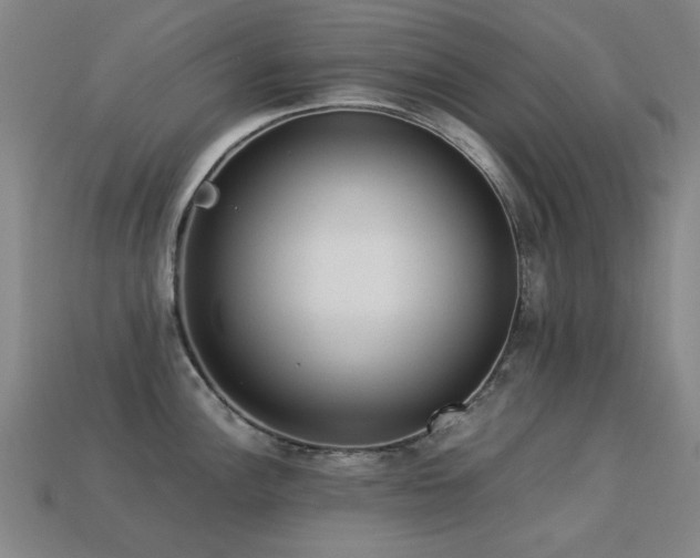 X0000113221148200909101145
