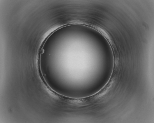 X0000113221149200909101145