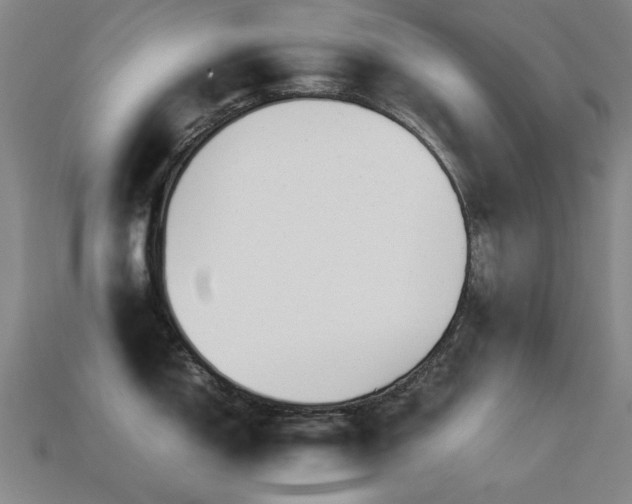 X0000113221150200909101145