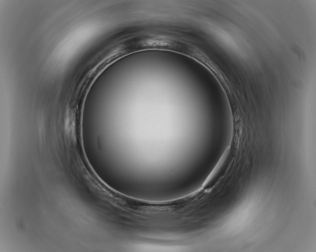 X0000113221151200909101145