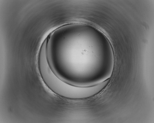 X0000113221152200909101145