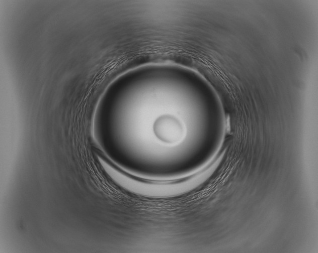 X0000113221153200909101144