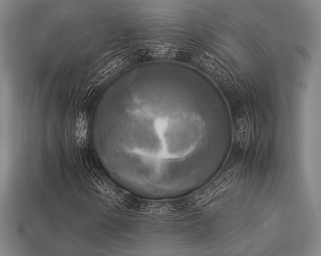 X0000113221154200909101144