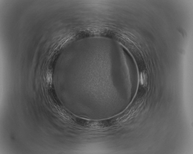 X0000113221155200909101144