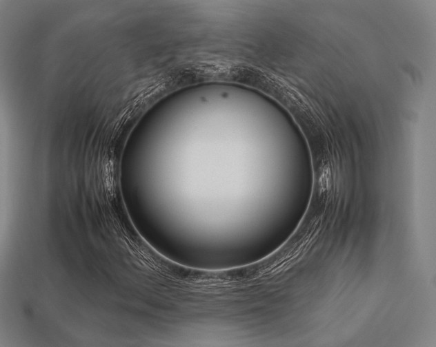 X0000113221156200909101144